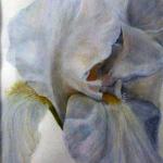 Iris by Anna Erichsen in Acrylic