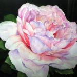 Sing Out by Judith Schimmel in Watercolor