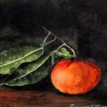 Still Life by Frances Doran in Watercolor