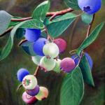 Blue Berries by Allen Aldridge in Oil 
