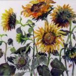 Four Bees by Carol Freas in Watercolor